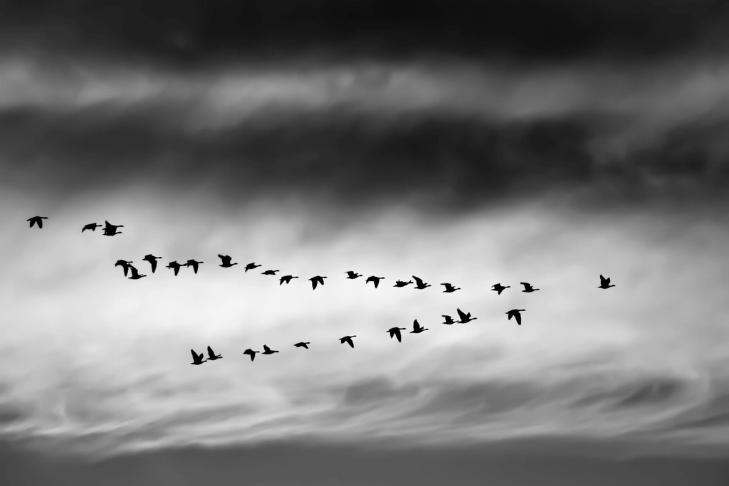 Building High Performing Teams