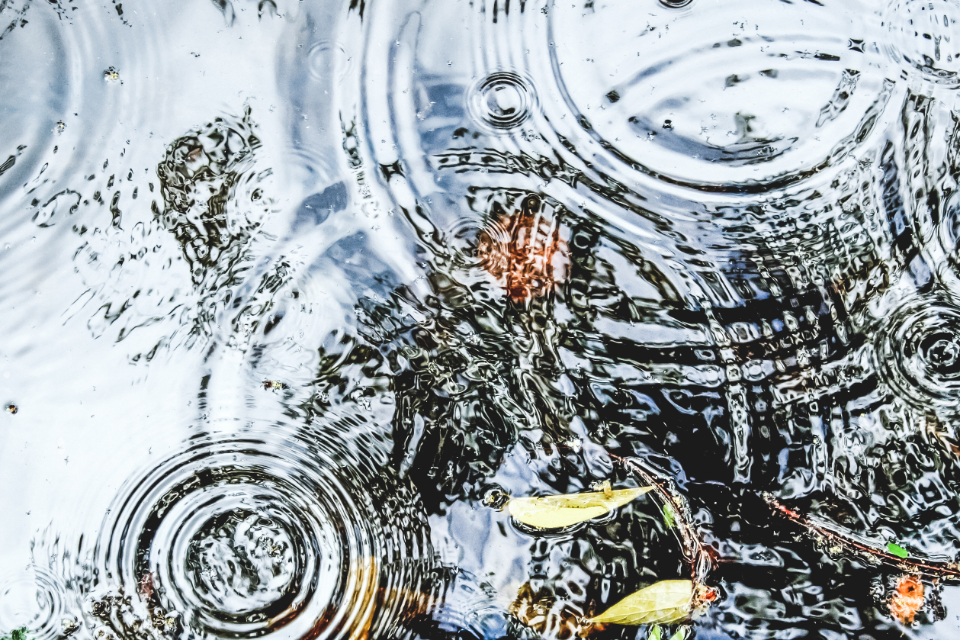 Influencing Without Authority