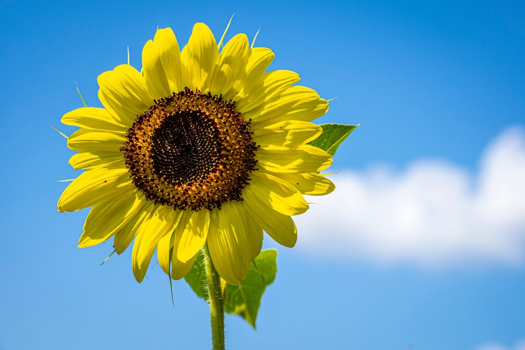 How to Stay Positive in a Negative Environment