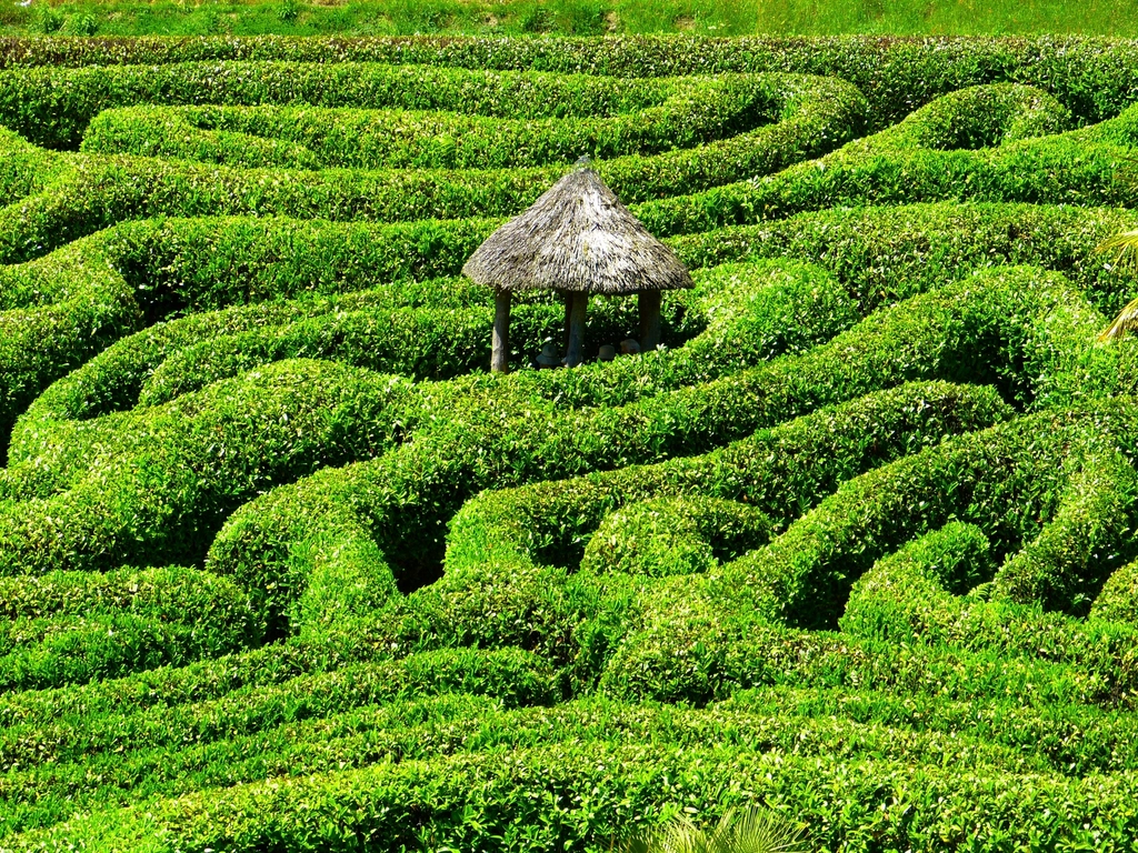Navigating Organizational Politics