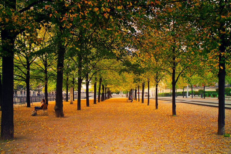 Retirement Planning for CSRS or FERS or CSRS/FERS Combined