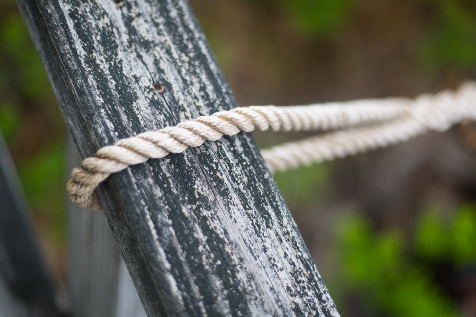 Building Effective Relationships at Work