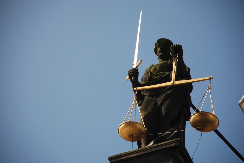 Government Contract Law